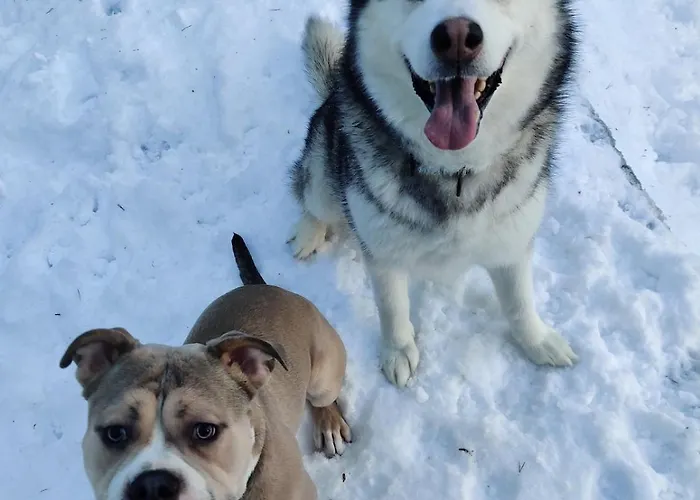 Heart Of Narkaus Prázdninový dům Rovaniemi